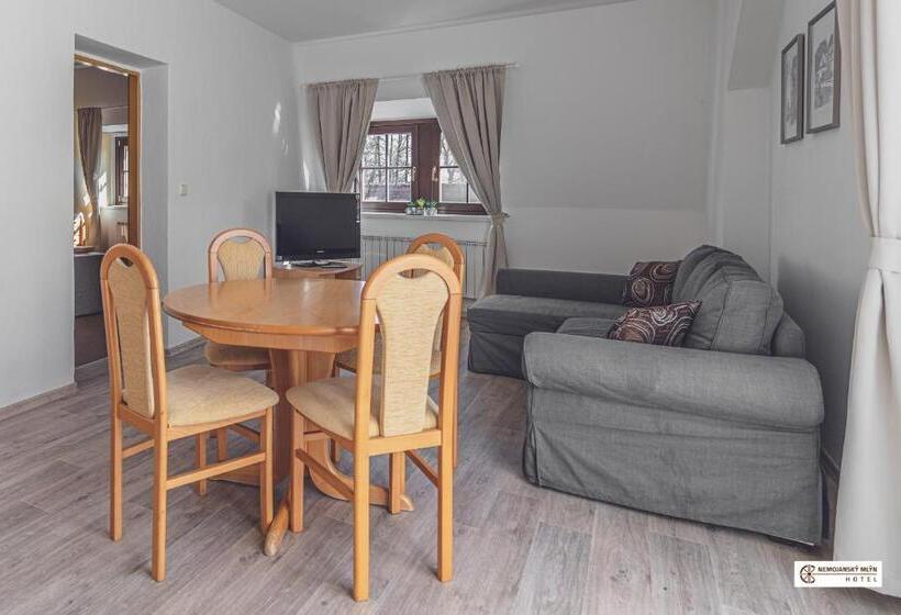 דירת חדר עם טרסה, Nemojanský Mlýn