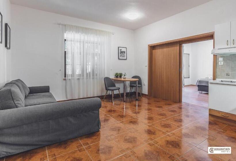 סוויטה עם ג'קוזי, Nemojanský Mlýn