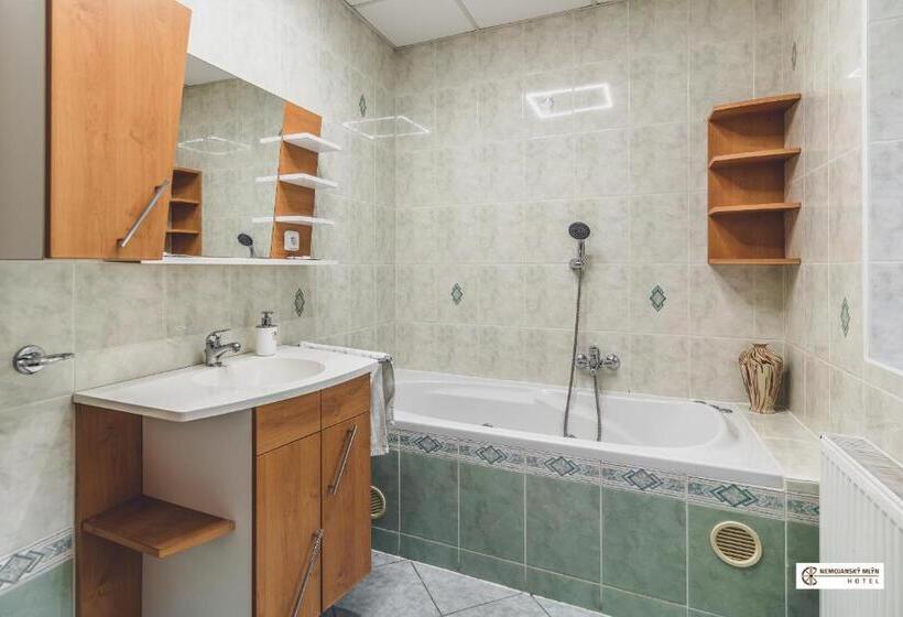 סוויטה עם ג'קוזי, Nemojanský Mlýn