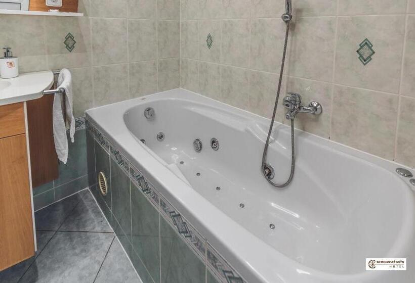 סוויטה עם ג'קוזי, Nemojanský Mlýn