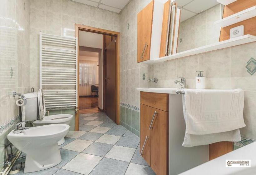 סוויטה עם ג'קוזי, Nemojanský Mlýn