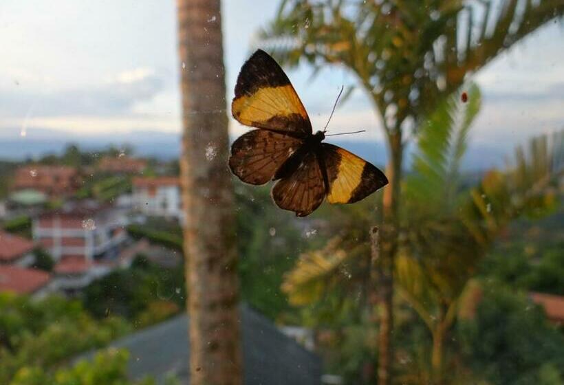 חדר סטנדרט, Palestina Eco