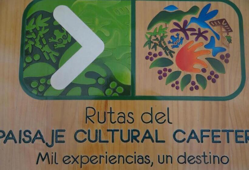 חדר סטנדרט, Palestina Eco