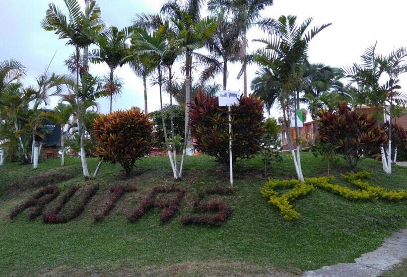 חדר סטנדרט לארבעה, Palestina Eco