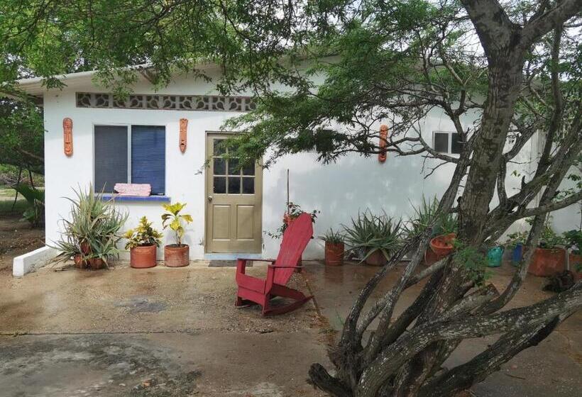 패밀리 룸, Galerazambahostal