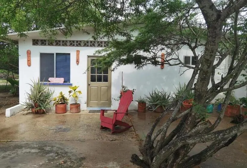 ファミリールーム, Galerazambahostal