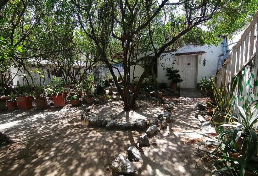 패밀리 룸, Galerazambahostal