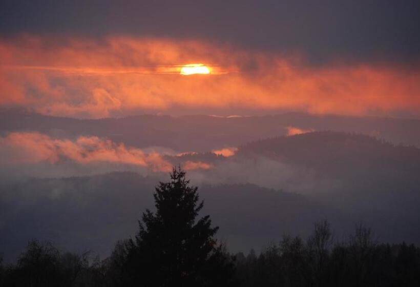 غرفة قياسية, Penzion Nadějov