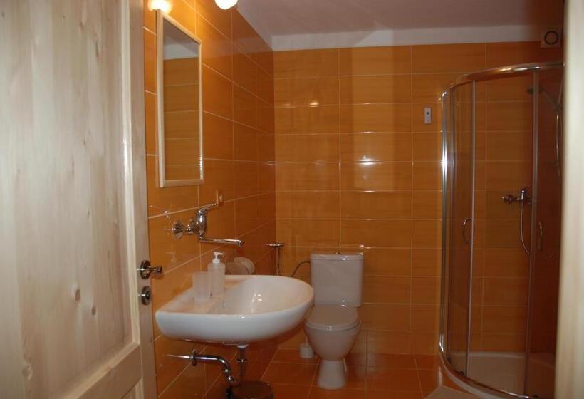 غرفة قياسية مطلة على الجبل, Penzion Nadějov