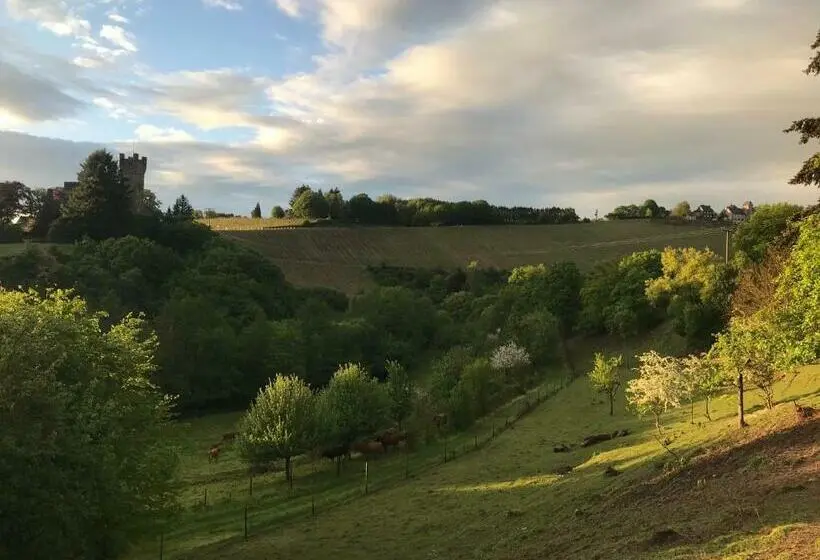 デラックスルーム, Pension Schmitz