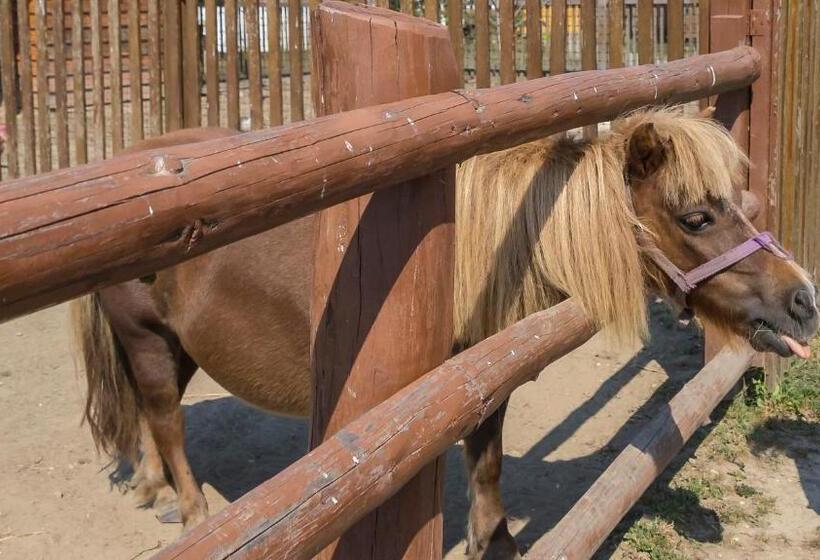 חדר משפחתי, Csodaszarvas Vendégházak