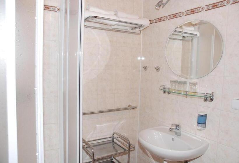 غرفة قياسية فردية, Penzion Bejčkův Mlýn