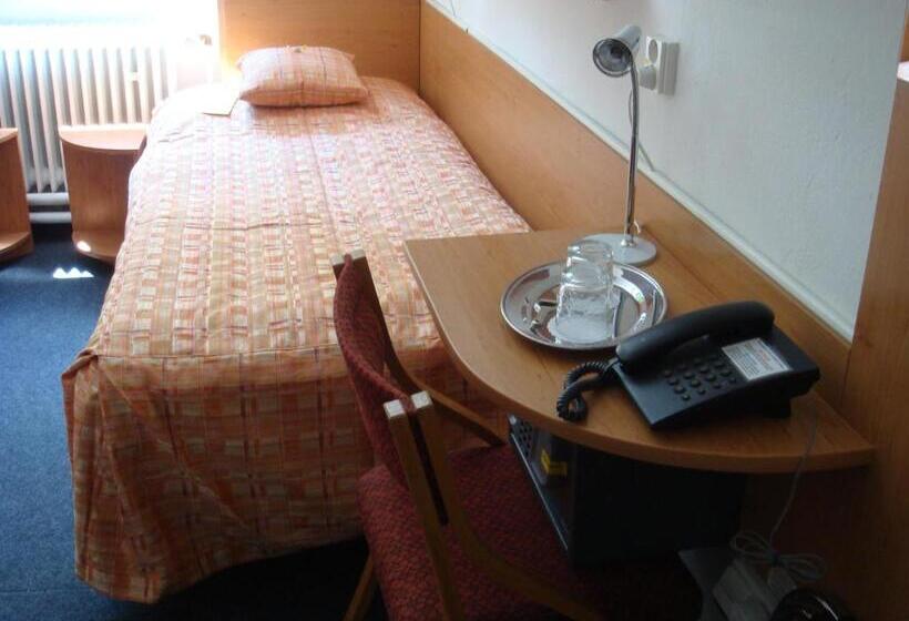 غرفة قياسية فردية, Penzion Bejčkův Mlýn