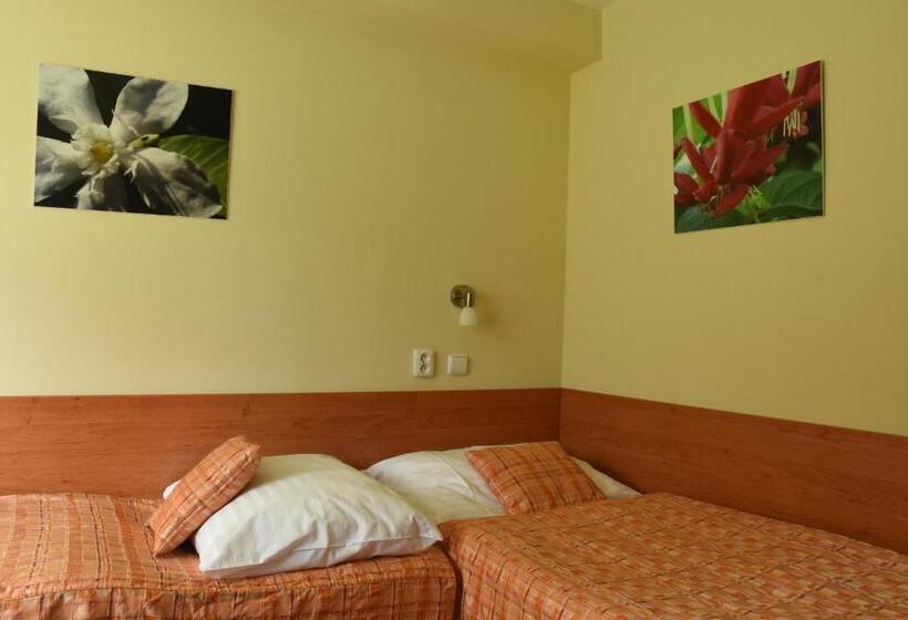 غرفة قياسية فردية, Penzion Bejčkův Mlýn