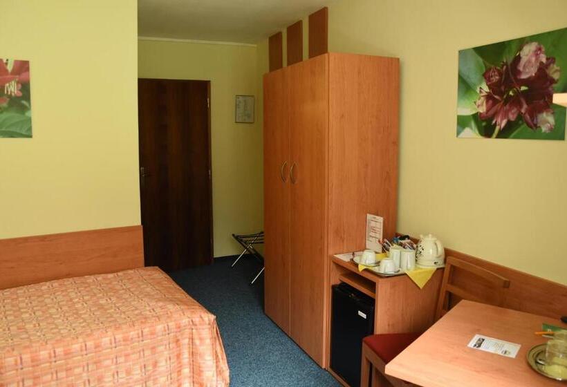 غرفة قياسية فردية, Penzion Bejčkův Mlýn