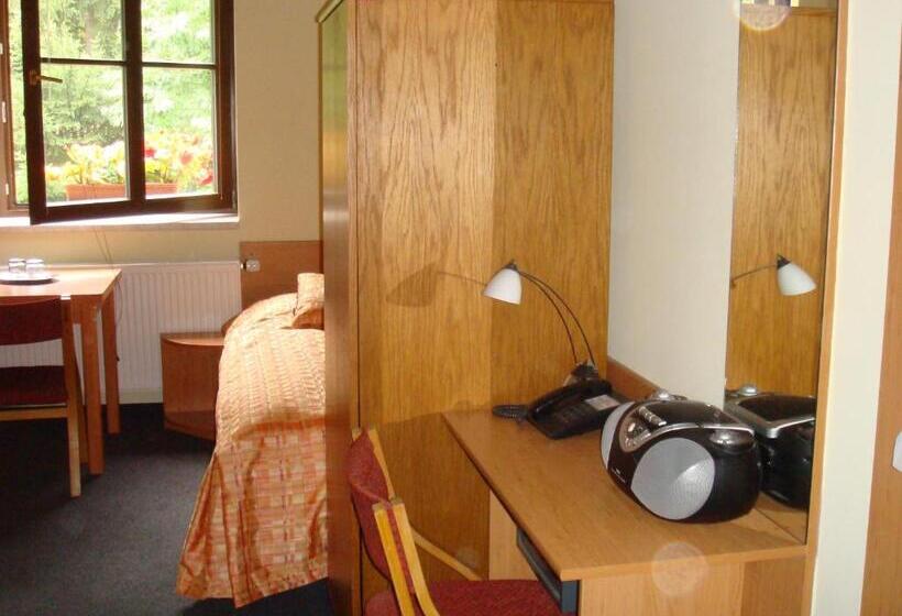 غرفة قياسية, Penzion Bejčkův Mlýn