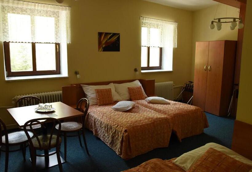 غرفة قياسية, Penzion Bejčkův Mlýn