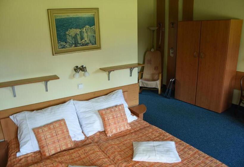 غرفة قياسية, Penzion Bejčkův Mlýn