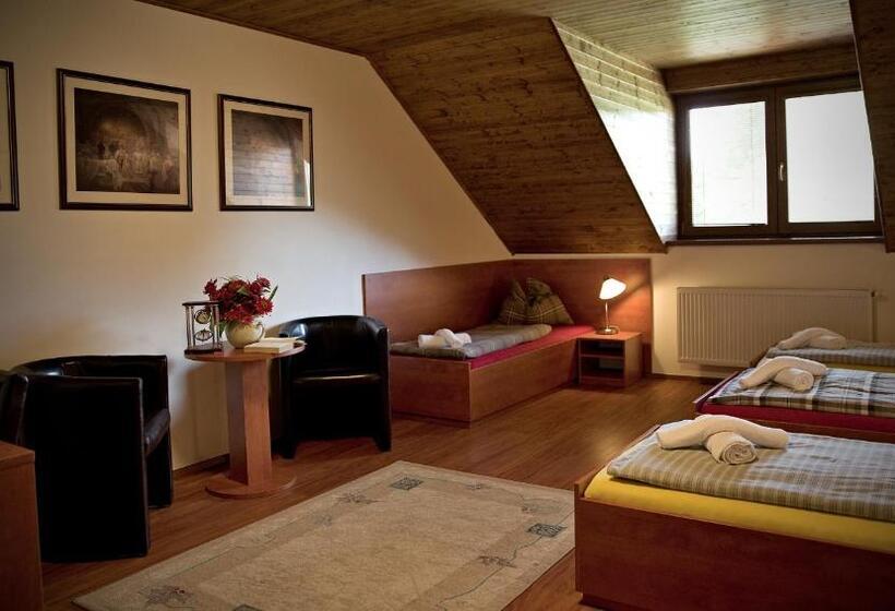 スタンダード４人部屋, Penzion šejby