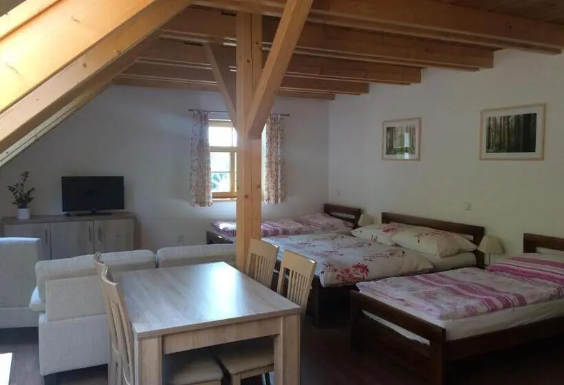 スタンダード4人部屋, Penzion Fořtovna