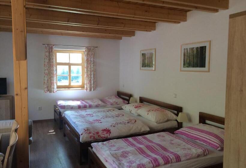 חדר סטנדרט לארבעה, Penzion Fořtovna