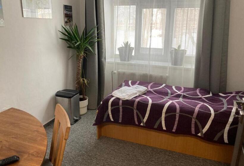 חדר סטנדרט לארבעה, Penzion Grasel