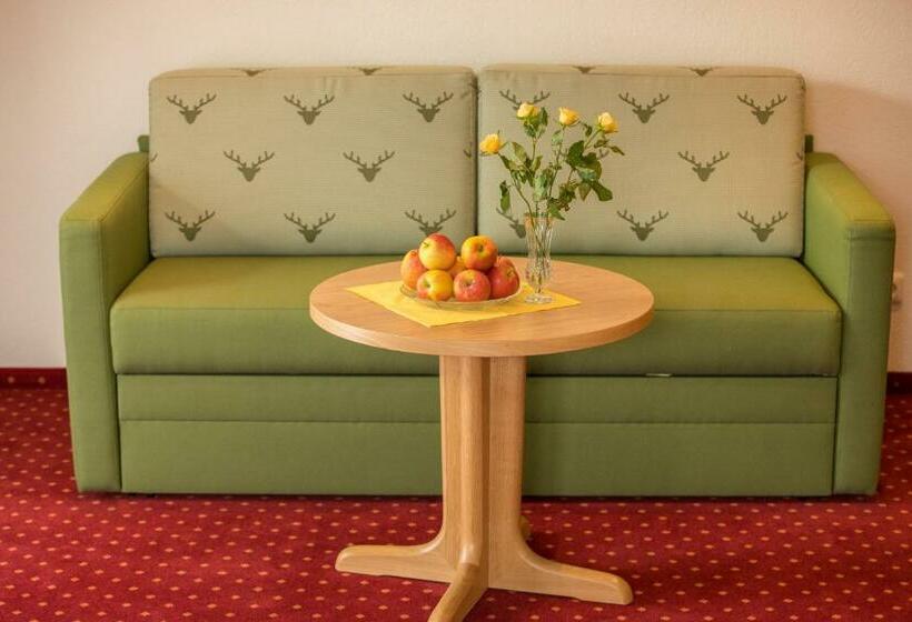 غرفة قياسية, Gästehaus Widderstein