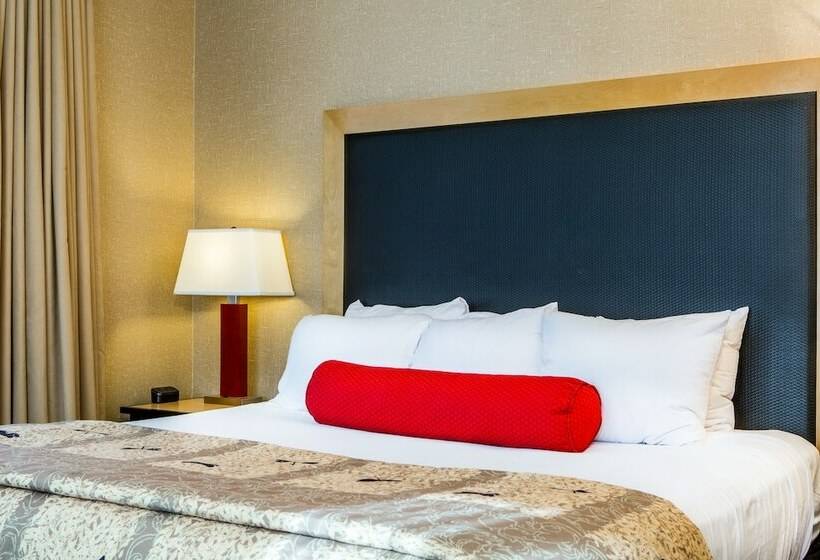 סוויטה, Cambria Hotel Akron   Canton Airport