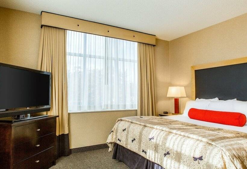 סוויטה, Cambria Hotel Akron   Canton Airport