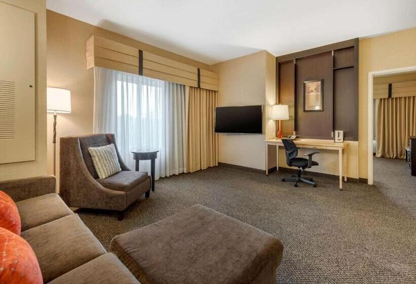 Полулюкс, Cambria Hotel Akron   Canton Airport