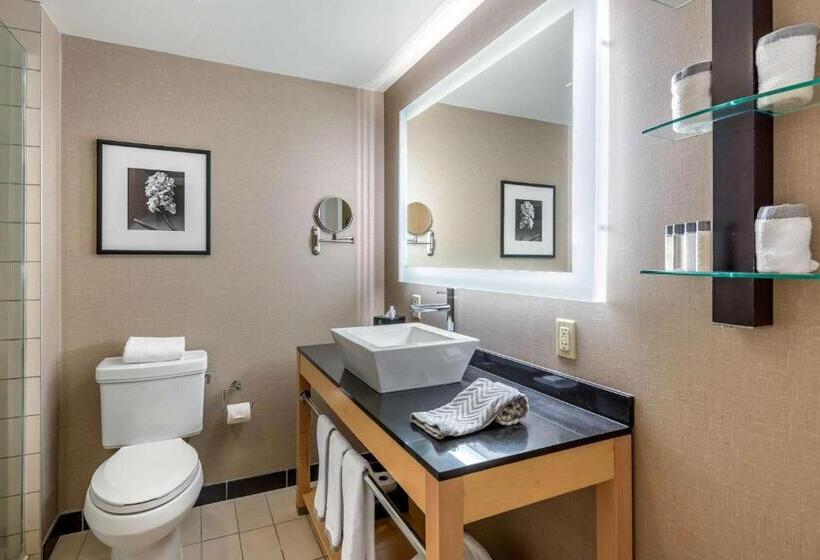 Люкс Кровать Кинг, Cambria Hotel Akron   Canton Airport