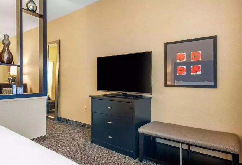 سوئیت با تخت بزرگ, Cambria Hotel Akron Canton Airport