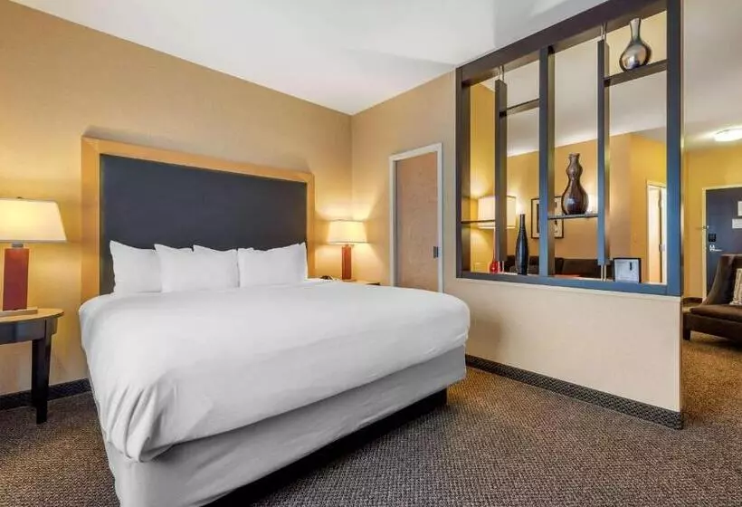 سوئیت با تخت بزرگ, Cambria Hotel Akron Canton Airport
