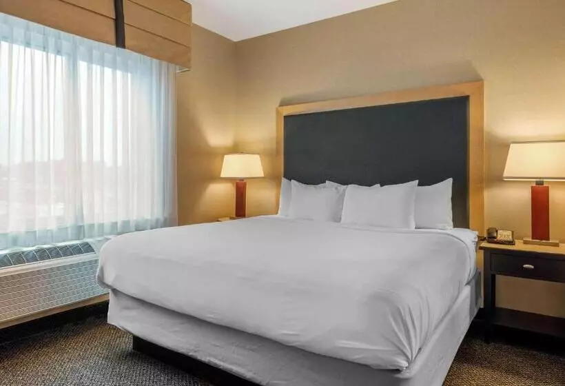 سوئیت با تخت بزرگ, Cambria Hotel Akron Canton Airport