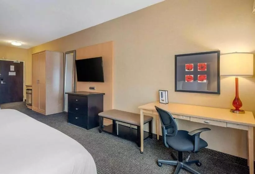 اتاق استاندارد با تخت بزرگ برای معلولان, Cambria Hotel Akron Canton Airport