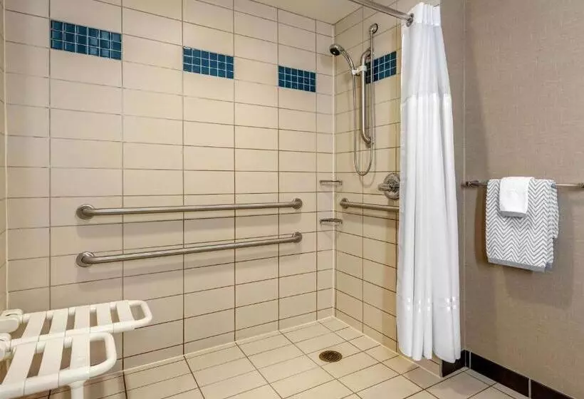 اتاق استاندارد با تخت بزرگ برای معلولان, Cambria Hotel Akron Canton Airport