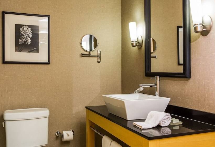 Люкс, Cambria Hotel Akron   Canton Airport