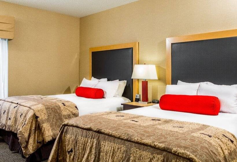 סוויטה, Cambria Hotel Akron   Canton Airport