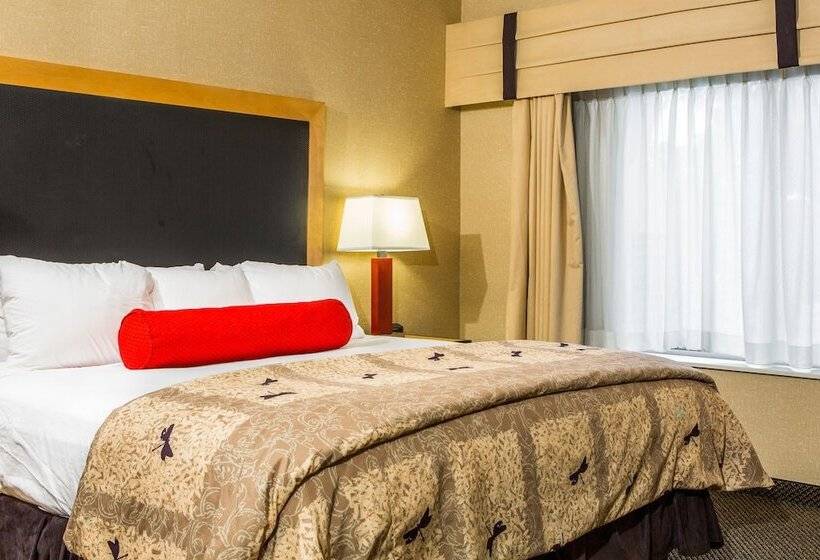 סוויטה מותאמת לאדם עם מוגבלויות, Cambria Hotel Akron   Canton Airport