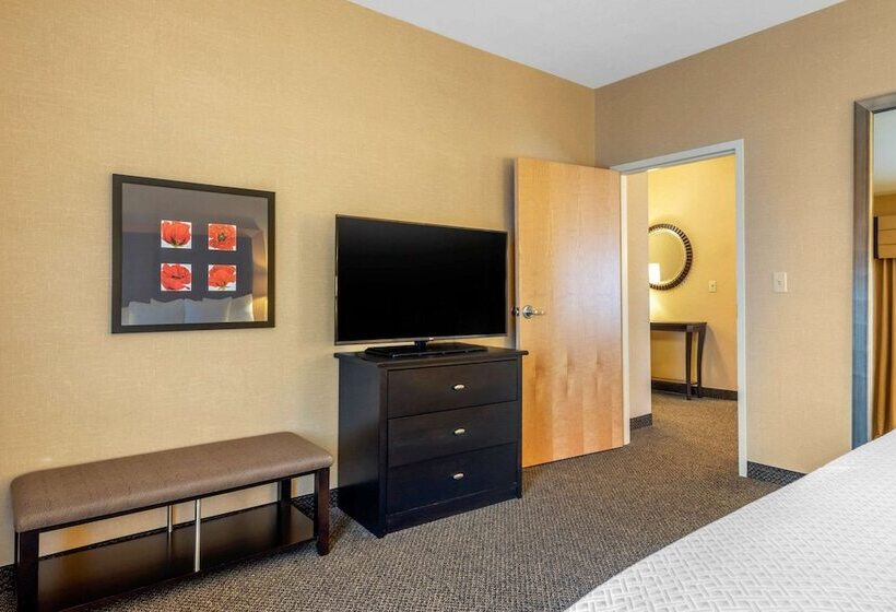Люкс Адаптированный для Инвалидов, Cambria Hotel Akron   Canton Airport