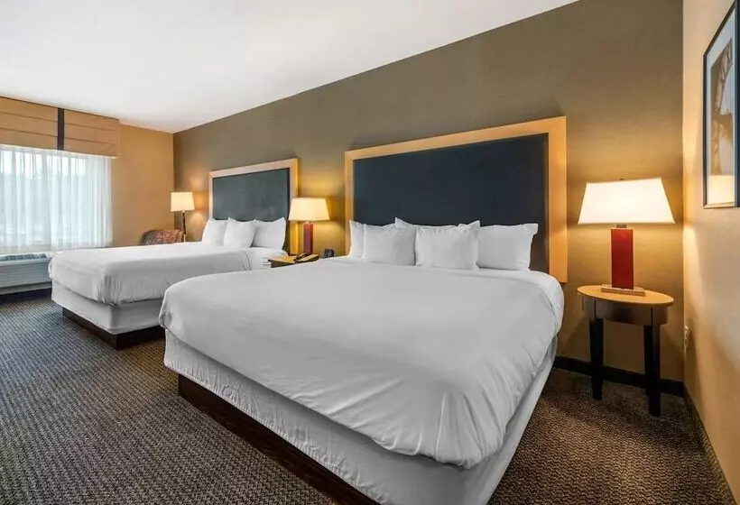 اتاق استاندارد, Cambria Hotel Akron Canton Airport