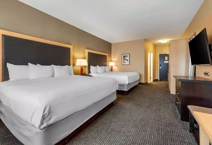 اتاق استاندارد, Cambria Hotel Akron Canton Airport
