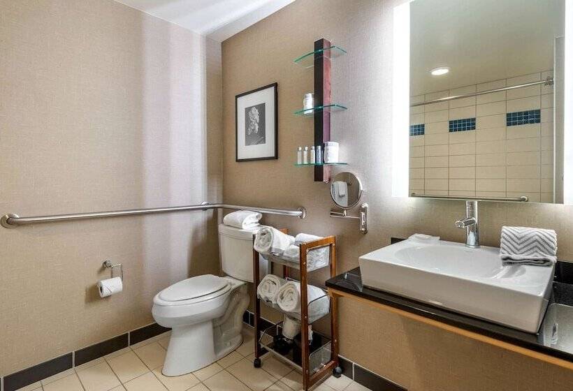 Люкс Адаптированный для Инвалидов, Cambria Hotel Akron   Canton Airport