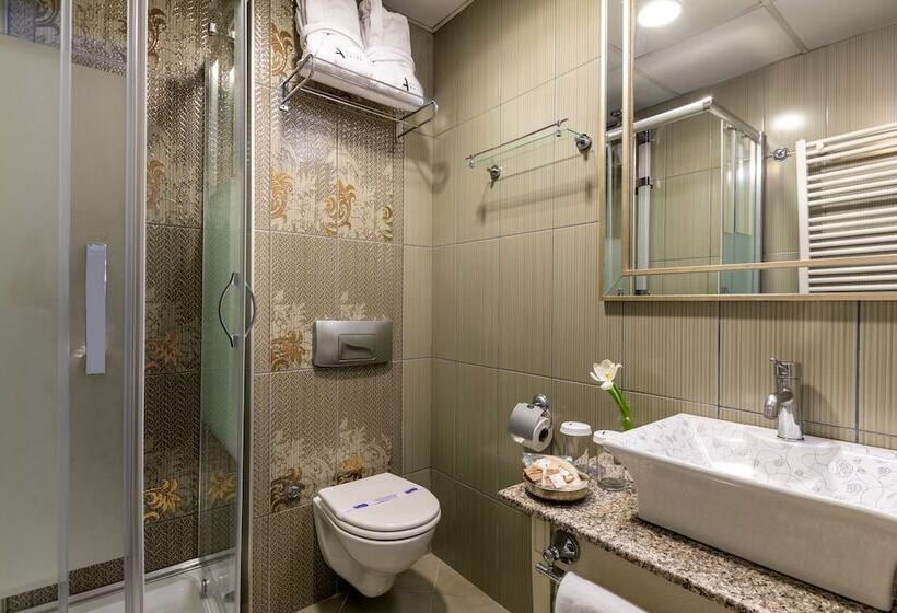 スタンダードシングルルーム, Amira Istanbul