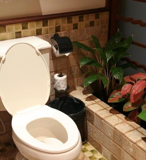 سوییت اجرایی, Ariyasom Villa