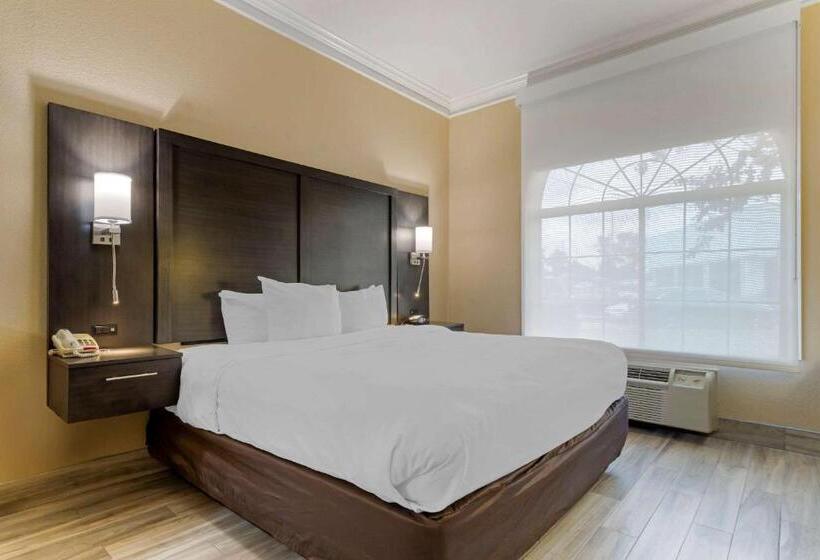 キングサイズベッドのスイートルーム, Comfort Suites Kingwood Houston North