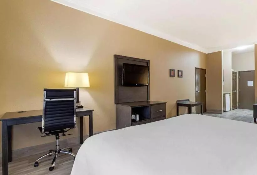 سوئیت با تخت بزرگ, Comfort Suites Kingwood Houston North