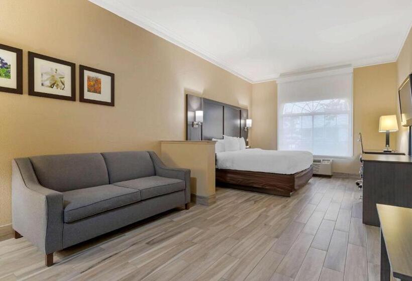 스위트 킹사이즈 침대, Comfort Suites Kingwood Houston North