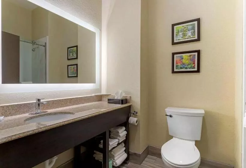 سوئیت با تخت بزرگ, Comfort Suites Kingwood Houston North