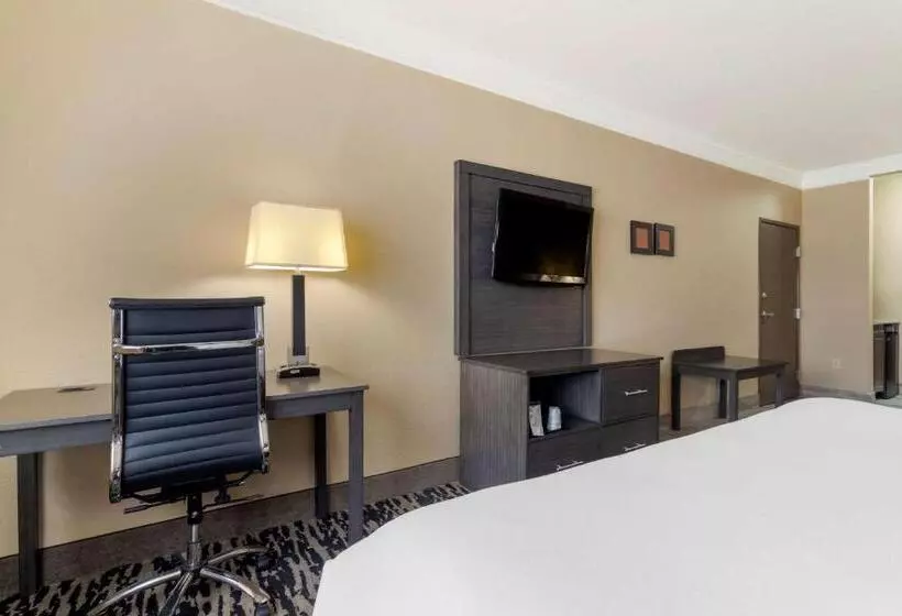 سوئیت با تخت بزرگ, Comfort Suites Kingwood Houston North